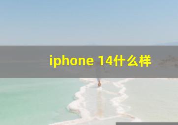 iphone 14什么样